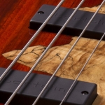 Cort elektromos basszusgitár, Jeff Berlin Signature modell